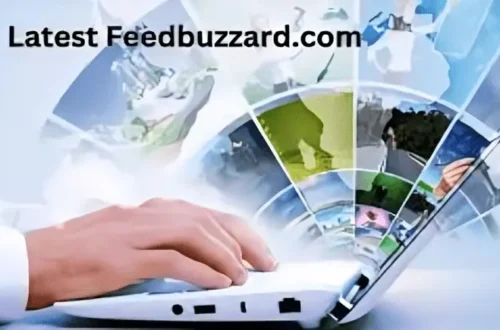 latest feedbuzzard com